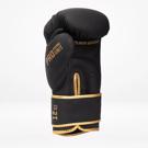 StormCloud PRO Boxing gloves - black/gold